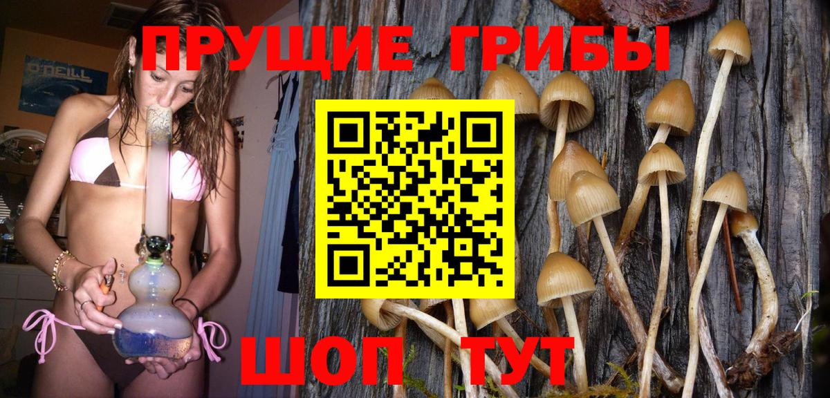 Галлюциногенные грибы Magic Shrooms  Вход с VPN  Соликамск 